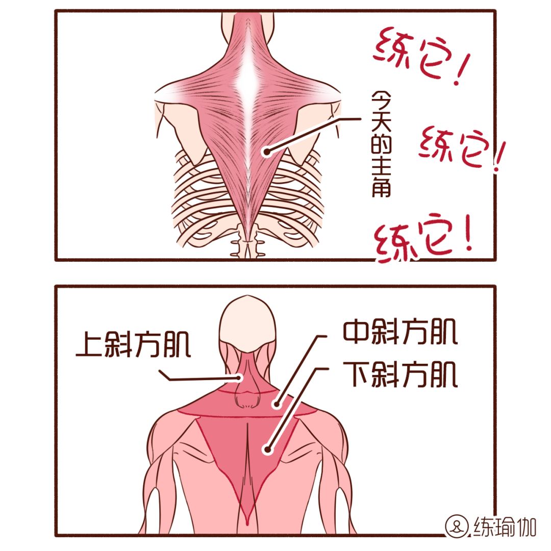 杨幂最爱的瑜伽动作纠正圆肩驼背气质立马就有了